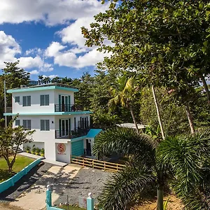 https://the-beach-pad.comcaribbean.com